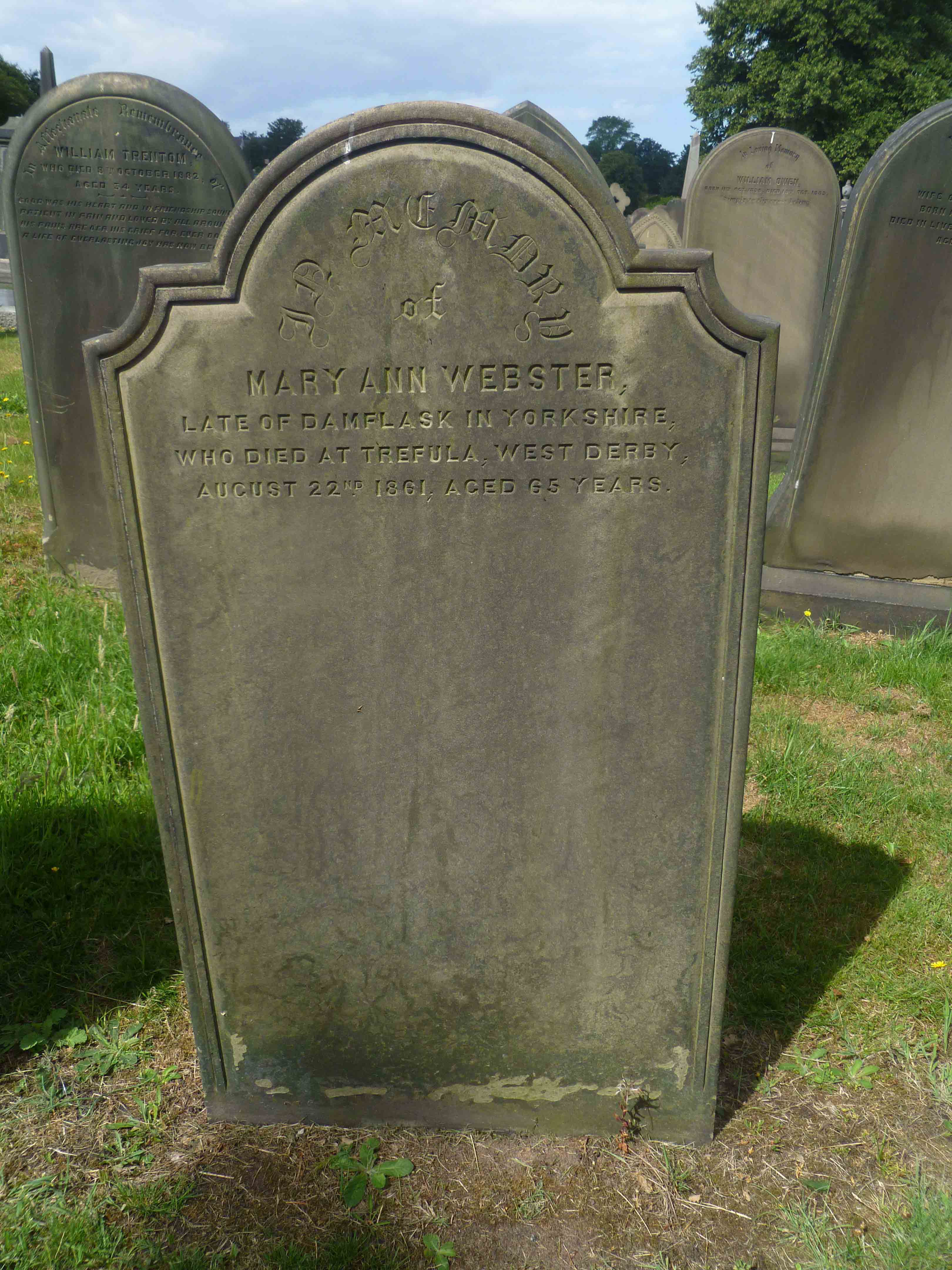 Webster, Mary Ann (C Left 145)